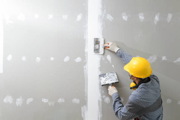 Best Forensic Mold Investigation  in Kendallville, IN