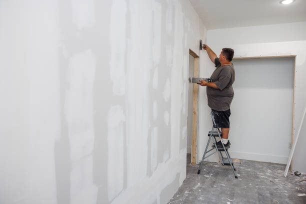 Best HVAC Mold Inspection and Cleaning  in Kendallville, IN