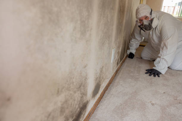 Best Crawl Space Mold Remediation  in Kendallville, IN