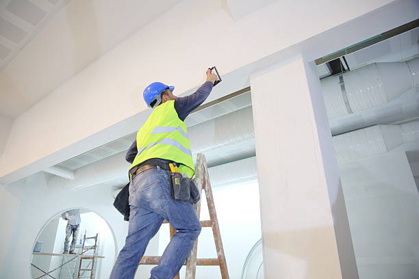 Best Mold Damage Restoration  in Kendallville, IN