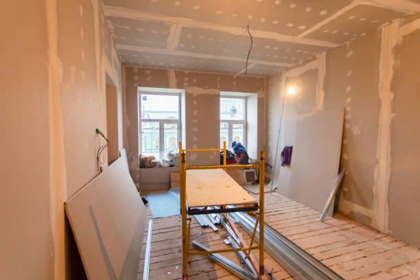 Reliable Kendallville, IN Mold Removal Solutions