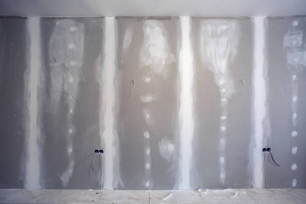 Best Mold Prevention Services  in Kendallville, IN